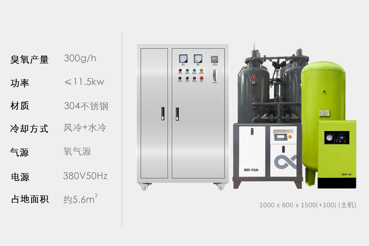 300 g/h ozone generator